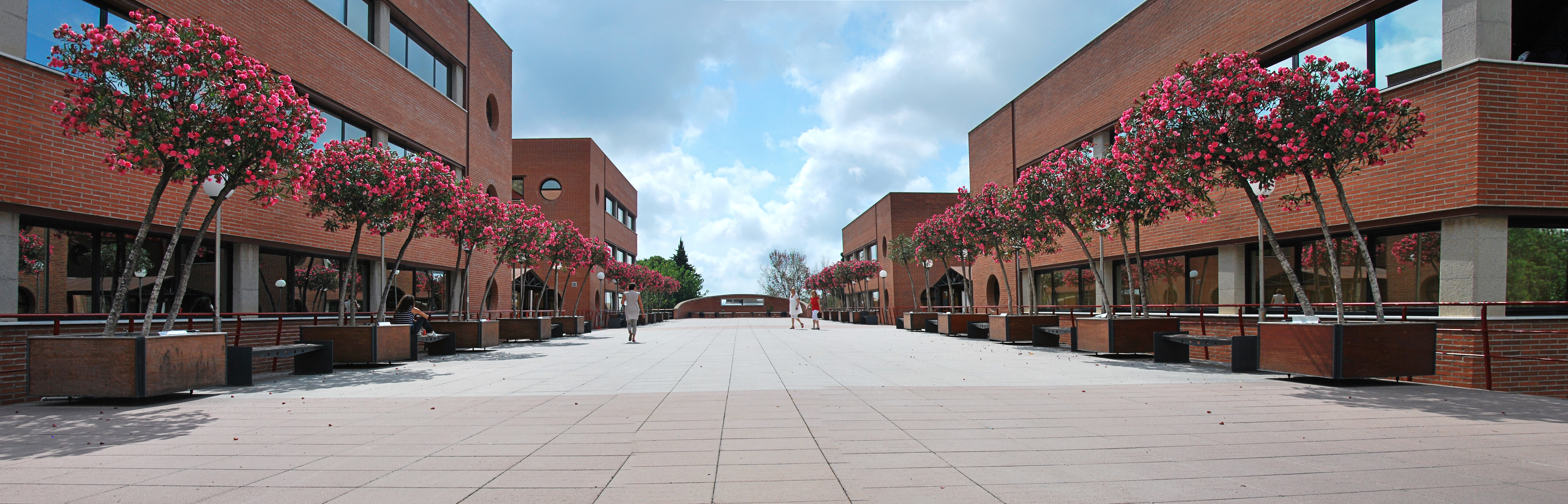 Third PhD Student - supervisor conference